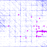 Nebuli Datastack litrature data clustering.
